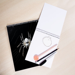 Скетчбук Белый паук на черном фоне - фото 2