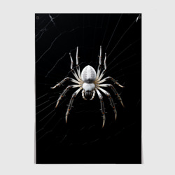 Постер Белый паук на черном фоне