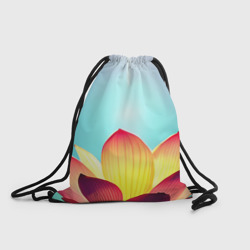 Рюкзак-мешок 3D Сияние неба