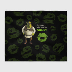 Плед 3D Shrexy Shrek