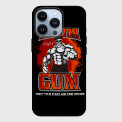 Чехол для iPhone 13 Pro Phantom gym