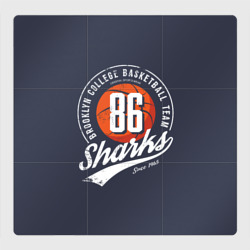 Магнитный плакат 3Х3 Basketball sharks