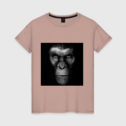Женская футболка хлопок Планеты обезьян
