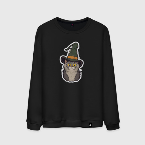 Мужской свитшот хлопок с принтом Испуганный котик в шляпе, вид спереди #2