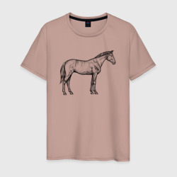 Лошадь стоит в профиль – Мужская футболка хлопок с принтом купить со скидкой в -20%