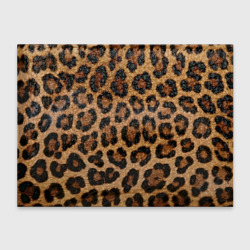 Обложка для студенческого билета Leopards texture