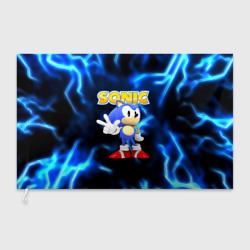 Флаг 3D Sonic  ёж молнии 