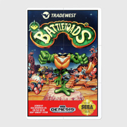 Магнитный плакат 2Х3 Battletoads cartridge 