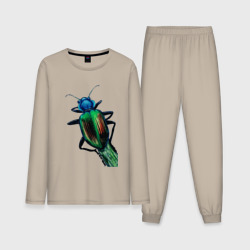 Мужская пижама с лонгсливом хлопок Разноцветный жук