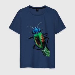 Мужская футболка хлопок Разноцветный жук