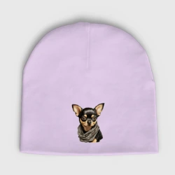 Женская шапка демисезонная Чихуахуа триколор в бандане