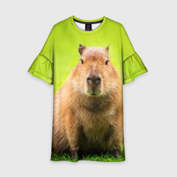 Детское платье 3D Capybara on green grass 