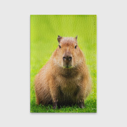 Обложка для паспорта матовая кожа Capybara on green grass 