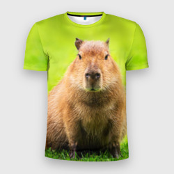 Мужская футболка 3D Slim Capybara on green grass 