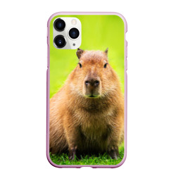 Чехол для iPhone 11 Pro матовый Capybara on green grass 