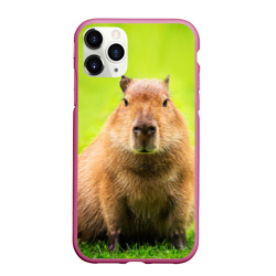 Чехол для iPhone 11 Pro Max матовый Capybara on green grass 