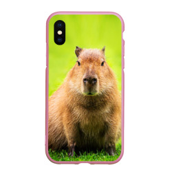 Чехол для iPhone XS Max матовый Capybara on green grass 
