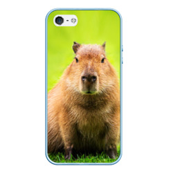 Чехол для iPhone 5/5S матовый Capybara on green grass 