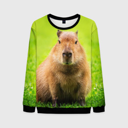 Мужской свитшот 3D Capybara on green grass 