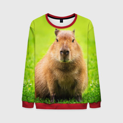 Мужской свитшот 3D Capybara on green grass 