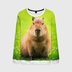 Мужской свитшот 3D Capybara on green grass 