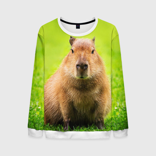 Мужской свитшот 3D Capybara on green grass , цвет белый