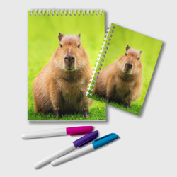 Блокнот Capybara on green grass 