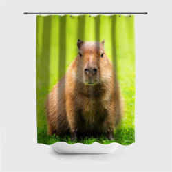 Штора 3D для ванной Capybara on green grass 