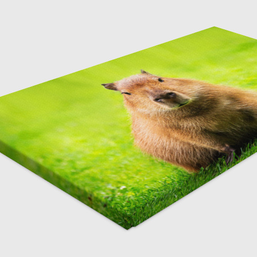 Холст прямоугольный Capybara on green grass , цвет 3D печать - фото 4