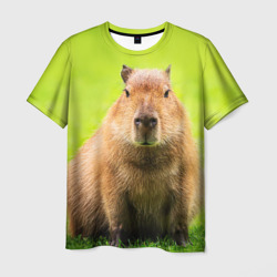 Мужская футболка 3D Capybara on green grass 