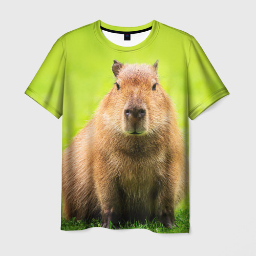 Мужская футболка 3D Capybara on green grass , цвет 3D печать