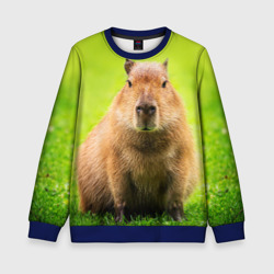 Детский свитшот 3D Capybara on green grass 