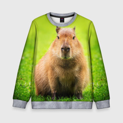 Детский свитшот 3D Capybara on green grass 