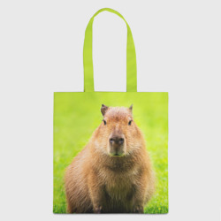 Шоппер 3D Capybara on green grass 
