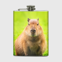 Фляга Capybara on green grass 