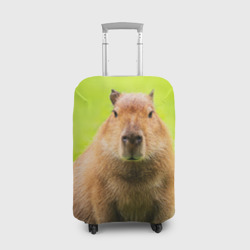 Чехол для чемодана 3D Capybara on green grass 