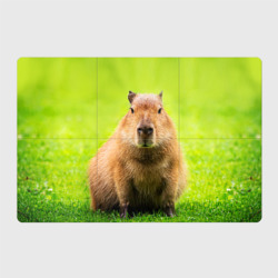 Магнитный плакат 3Х2 Capybara on green grass 