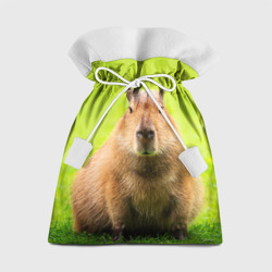 Подарочный 3D мешок Capybara on green grass 