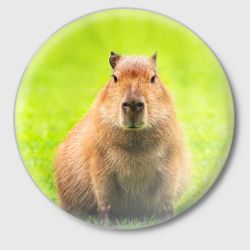 Значок Capybara on green grass 