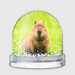 Игрушка Снежный шар Capybara on green grass 