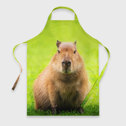 Фартук 3D Capybara on green grass 