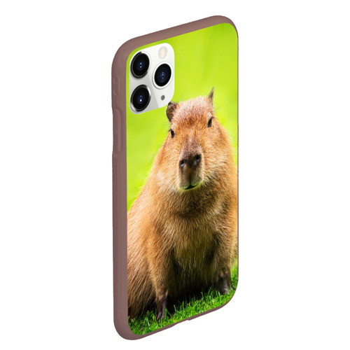 Чехол для iPhone 11 Pro Max матовый Capybara on green grass , цвет коричневый - фото 3