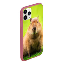 Чехол для iPhone 11 Pro Max матовый Capybara on green grass  - фото 2