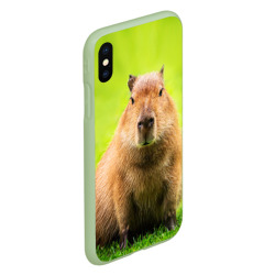 Чехол для iPhone XS Max матовый Capybara on green grass  - фото 2