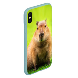 Чехол для iPhone XS Max матовый Capybara on green grass  - фото 2