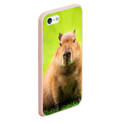 Чехол для iPhone 5/5S матовый Capybara on green grass  - фото 2