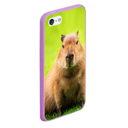 Чехол для iPhone 5/5S матовый Capybara on green grass  - фото 2