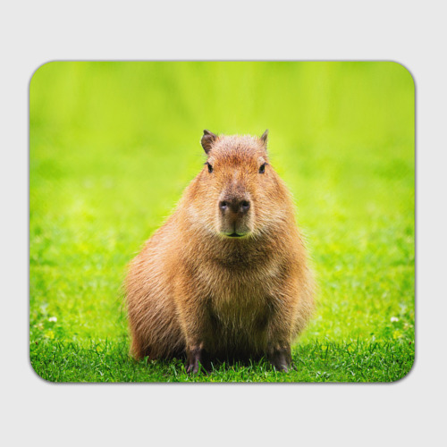 Прямоугольный коврик для мышки Capybara on green grass 