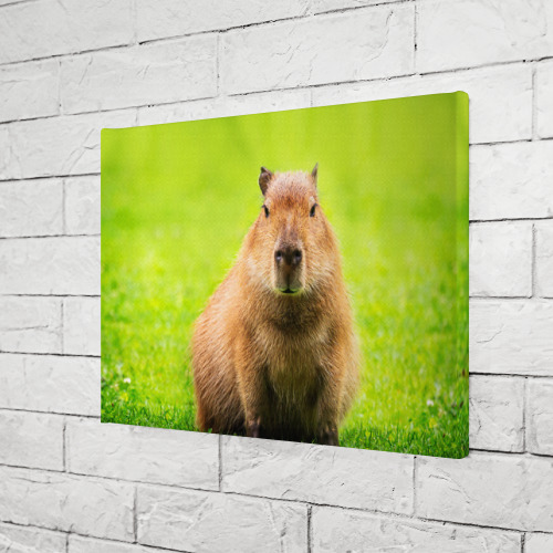 Холст прямоугольный Capybara on green grass , цвет 3D печать - фото 3