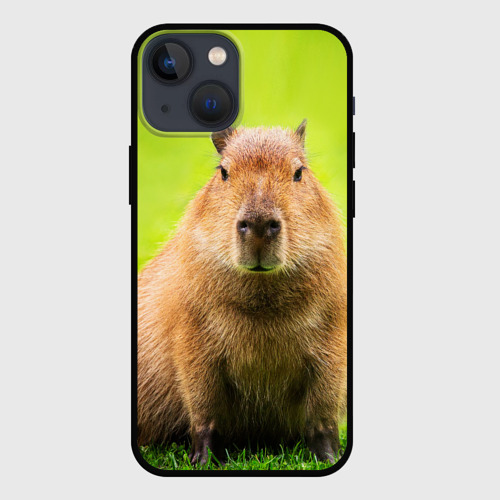 Чехол для iPhone 13 mini Capybara on green grass 